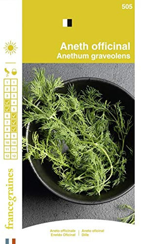France Graines - Aneth Officinale