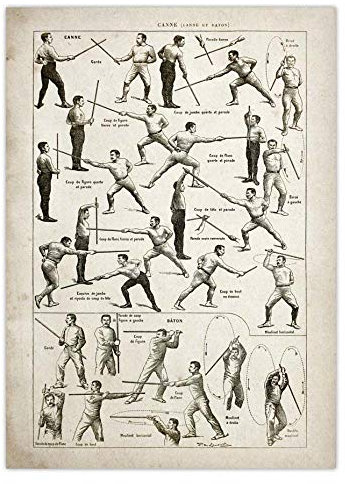 Bilder,Poster Kunstdrucke,Jiu Jitsu Poster Boxen Wrestling Fechten Kampftechnik Diagramm Vintage Print Leinwand Malerei Schwert Säbel Cane Stick Baton,Gemälde - 30X40Cm