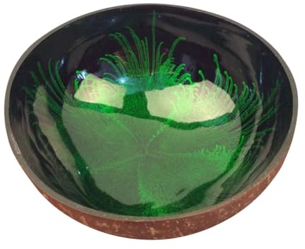 Housoutil Coconut Shell Key Bowl, Green Coconut Shell Decorative Bowl, Key for Hallways, Ink Creative Ornament Creative Storage for Storage