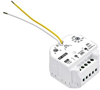 Delta Dore 6050615 RF 4890 Récepteur, Blanc, Unique
