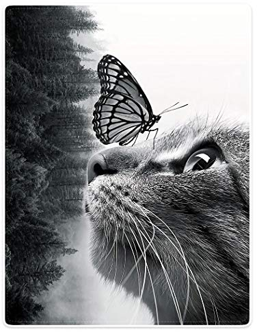 YISUMEI Decke 150x200cm Flauschige Kuscheldecke Weich Flanell Fleecedecke Schmetterlings Katze