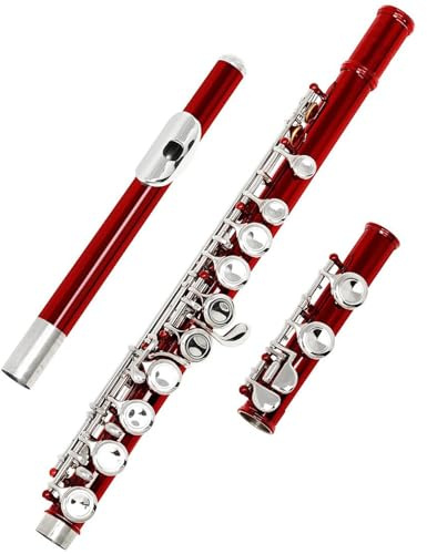Querflöte 16 Geschlossene Offene Löcher C-Taste Professionelles Querflöten-Konzertmusikinstrument Mit Box-Tuch-Stick-Handschuhen(Red)