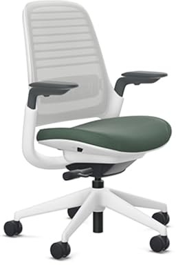Steelcase Series 1 Ergonomic Office Desk Chair, 3D Knit Backrest, Seagull Frame, Modern Style, Adjustable Seat, 400 lbs Capacity (SoftNext Jade Fabric, Soft Hard Floor Casters)