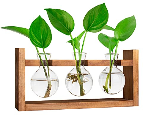 Ivolador Desktop Glass Planter Bulb Vase with Retro Solid Wooden Stand and Metal Swivel Holder for Hydroponics Plants Home Garden Wedding Decor(1 Bulb Vase)