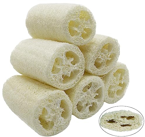 CESHMD 6 Stücke Luffa Schwamm Natürliche, 10cm Luffa Gurke Entfernen Dead Skin zur Körperpflege Bad und Dusche Küche Luffaschwamm Peeling Naturschwamm (Komprimiert)