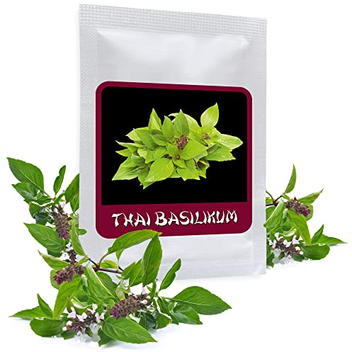 Basilico tailandese 100 semi (Ocimum Basilicum) - per giardino o come pianta da vaso