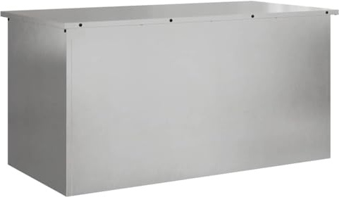Stahl Lagerbox 100 x 50,5 x 50 cm Silber | Wetterfest, Gasliftdeckel, für Garten Terrasse, platzsparend