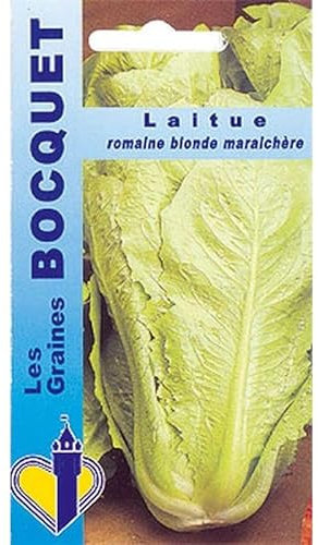 Sachet de graines de Laitue romaine Blonde maraîchère - 4 g - légume feuille - LES GRAINES BOCQUET