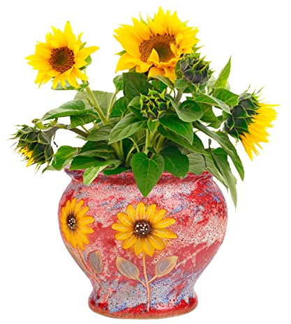 Sungmor Handbemalte Sukkulenten-Blumentöpfe, 22,9 cm, großer Keramik-Pflanzgefäß, Behälter aus Ton, dekorative Keramikvase für Blumenarrangement, Heimdekoration, Vintage-Tafelaufsätze Blumentopf