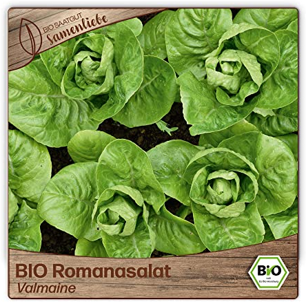 Samenliebe BIO Romanasalat Samen Valmaine saftiger Romasalat aufrechtwachsend Salat grün 500 Samen samenfestes Gemüse Saatgut für Gewächshaus Freiland und Balkon BIO Gemüsesamen