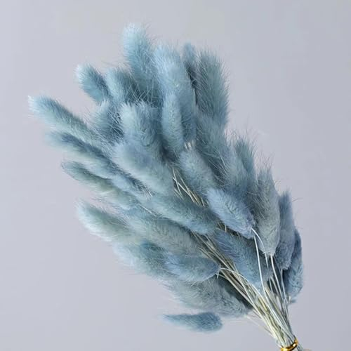 FOSANGPUSHI Getrocknete Blumen,30 Stück 40 cm natürlicher getrockneter Blumen-Kaninchenschwanz-Blumenstrauß für Zuhause, Hochzeit, Ostern, Dekoration, Pampasgras, echte Blumen, Grau, Blau