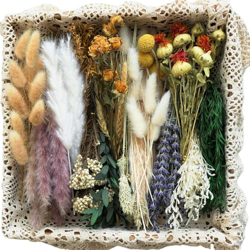 Celblisora DIY Set mit natürlichen Trockenblumen–Mini-Trockenblumen in großen Mengen,16 Verschiedene Trockenblumen mit Stielen für Vasen,Bastelarbeiten und rustikale Dekoration
