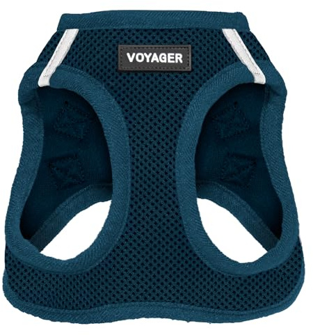 Voyager Step-In Air Dog Harness by Best Pet Supplies - All Weather Mesh Step in Vest Harness for Small and Medium Dogs, Blue, size M - Chest: 16 - 18