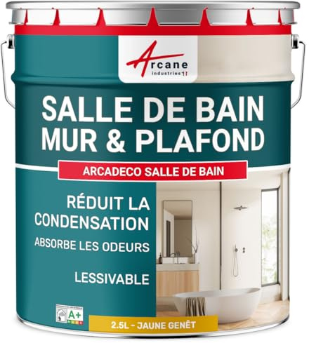 Pintura Baño Anticondensación Pared Techo - ARCADECO 2,5 L RAL 1032