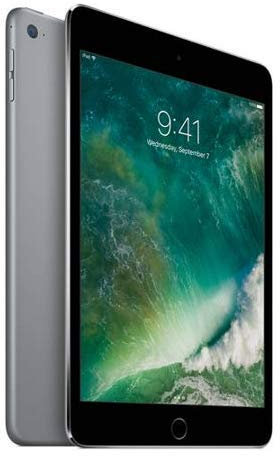 Apple iPad Mini 4 MK9G2LL/A 7.9-Inch Multi-Touch Retina Display, 64GB (Space Gray) (Renewed)