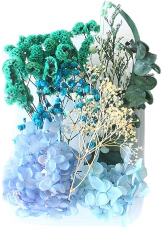 LEEQBCR 1 Caja Flores Secas Artesanales, Decoraciones de Flores Secas, Artesanías de Flores Secas, Artesanías DIY, Decoraciones Epoxi para Scrapbook (Azul)