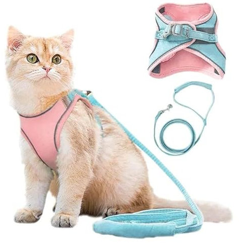 SWZEC Haustierstolz® - Das Original Katzengeschirr mit Katzenleine (M (2-4kg),Hellblau-Pink)