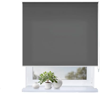 Rollmayer Classic Rollo mit Bohren, Seitenzugrollo Rollo fur Fenster und Tur (Classic Graphit,160x220 cm (BxH))