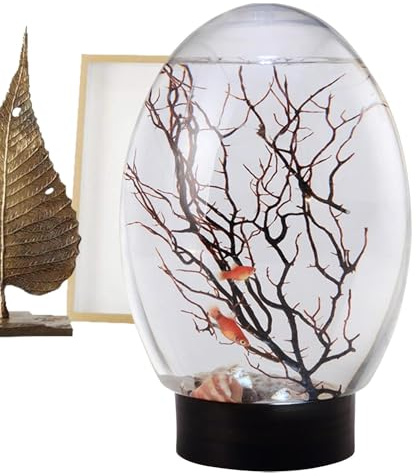Schreibtisch Aquarium, Desktop -Fischtank | Fischtank mit LED -Licht,Lustiger aquaponischer Pflanzer, Desktop -Landschaften für Zuhause