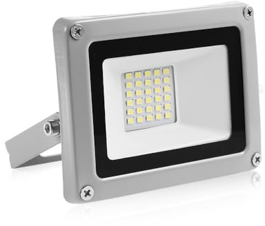 papasbox LED-strålkastare 12 V, 30 W jätteljus 2 400 LM utomhus strålkastare 6000 K kall vit, IP65 vattentät för trädgård, gård, terrass, kvadrat, fabrik