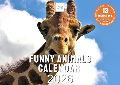 Rolig kalender 2025 djur - utrymme för anteckningar över 13 månader. Vackra bilder av roliga djur. Återvinningsbar 2025-kalender tryckt i Storbritannien av Ruby Ashley®