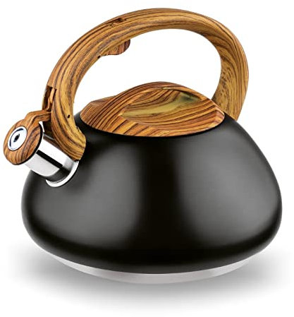 Bouilloire sifflante en acier inoxydable - 3 L - Pour le camping - Noir