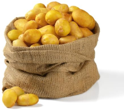 Kartoffeln | Deutsche Kartoffeln aus der aktuellen Ernte (festkochend, 1,50 KG)