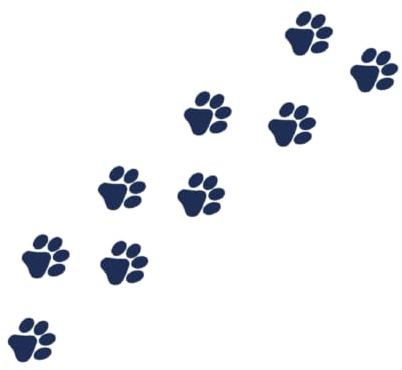 Tattwo.me – Tatuaje temporal para adultos y niños, dura 2 semanas, resistente al agua –patas de gato – Tinta de origen vegetal - Certificado UE de cosméticos – (P0689)