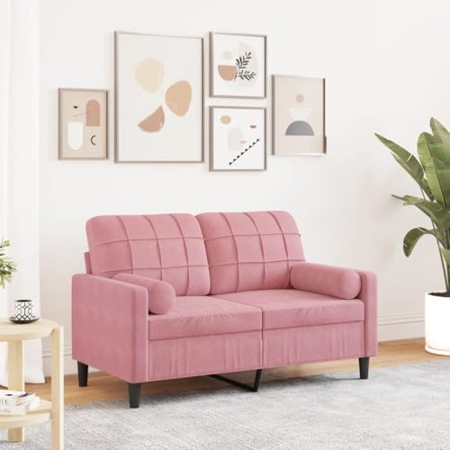HETFTJN Rosa Zweisitzer Samt 2-Sitzer Sofa 137x77x80 cm Metallgestell mit abnehmbaren Kissen Modernes Design für Wohnzimmer Jugendzimmer Balkon und Schlafzimmer