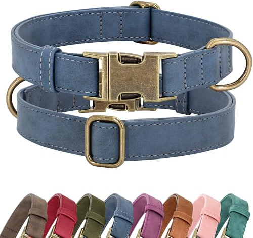 Didog Hundehalsband aus weichem Leder, langlebig, strapazierfähig, mit Schnellverschluss-Metallschnalle, verstellbares Hundehalsband aus Leder für große, mittelgroße Hunde, Blau, L