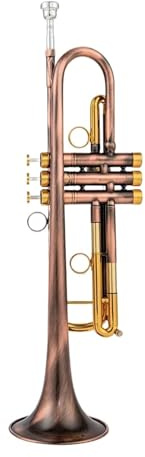 Bb-Trompete professionelles Instrument geeignet für erwachsene Anfänger