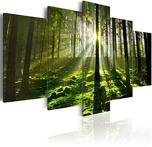B&D XXL - Wandbilder XXL Waldlandschaft 200x100cm 5 tlg - Wand Deko Leinwand Bilder Groß Wanddeko Wohnzimmer Schlafzimmer Kunstdrucke - Natur Sonne Bäume 030213-32