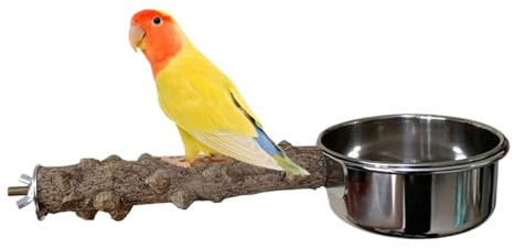 PERCHE EN BOIS AVEC BAYL, PARURE EN BOIS PERCHE EN BOIS - Stand de cage à oiseaux en bois avec bol - Fournitures pour animaux de compagnie avec tasse en acier inoxydable pour perroquets de taille