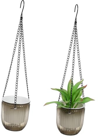 GARIOUANS 2 Piezas Maceteros Colgantes Automáticos Unidades con Sistema de Riego para Plantas de Interior y Exterior Ahorradores de con Cesta Transparente y Soporte para Colgar Tiestos