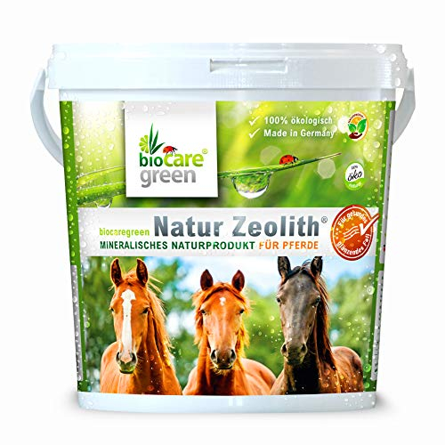 Biocaregreen Natur Zeolith Pferd | 1kg, Garantierte Vermahlung auf 50 μm | Nahrungsergänzung für Pferde