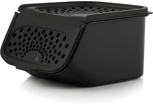 Tupperware Knoblauch- und Schalottendose 2,3 L - Lichtdichte Küchenaufbewahrung - Optimale Frischhaltung - Abnehmbarer Klappdeckel - Polypropylen - 21x19x11,8 cm - Familienküche