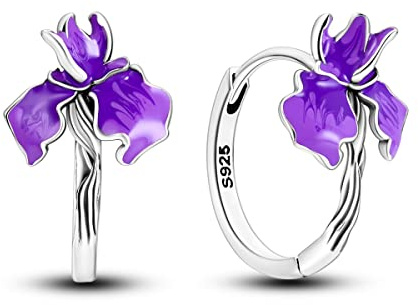 CYMYSS Örhängen Silver 925 Creoler Silver 925 Silver Örhängen Dam 925 Små Creoler Silver 925 Sterling Silver Örhängen Hoop Earrings Earrings For Women (Iris-2)