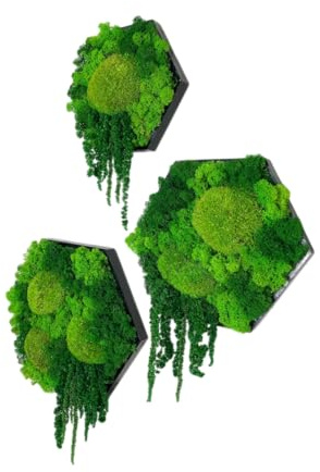 Gedankenwunder Manufaktur Island Ranke Moosbild Hexagon Sechseck Island- & Ball