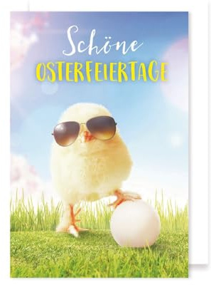 Ostern Karte Grußkarte Küken mit Sonnenbrille Ei 16x11cm
