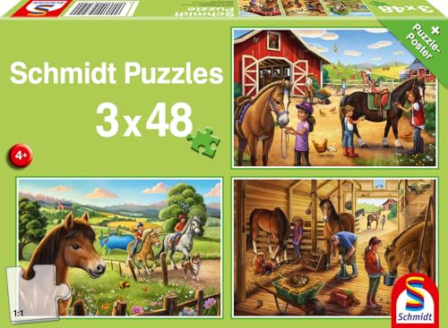 Schmidt 56519 Meine Lieblingspferde, 3x48 Teile Kinderpuzzle