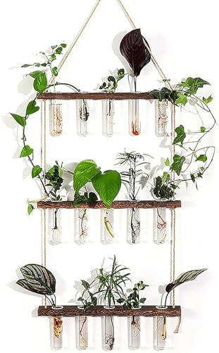 3-Tier Wall-Mounted Plant Propagation Station with Wooden Stand & Glass Test Tubes - Hydroponic Planter for Indoor Plants, Home Garden Office Decor