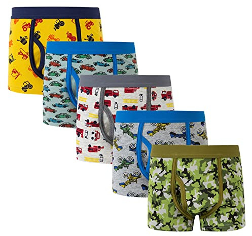 Mutande Bambino 9 Anni - 5Pcs Neonato Bambino Grande Bambini Ragazzi Mutandine Bambini Mutandine Corno Piatto Dinosauro Cartone Animato Pantaloni Pezzo Combo Set Mutandine (Grey 10-12 Years)