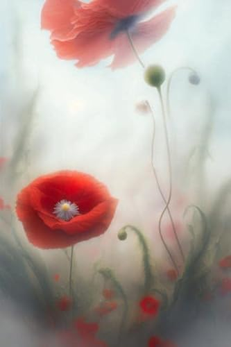 adrium Acryl-Bild 70 x 110 cm: schöne wiese magisch von roten mohnblumen im nebel (200366993)