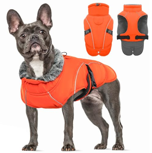 Hundemantel für Kleine Hunde, Hundejacke Wasserdichter Kleine Hunde Warm Welpen Jacke Wintermantel Kleiner Hund Reflektierend Jacke Französische Bulldogge Hundemantel Jack Russel(Orange, S)