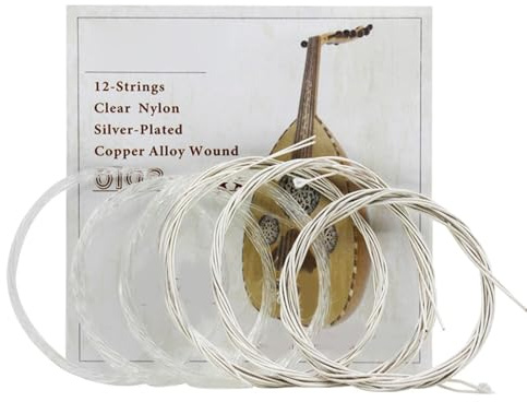 Klares Nylon-Oud-Saiten-Set aus Versilberter Kupferlegierung, Leichtes, Langlebiges Zubehör für Oud-Liebhaber, 10 Saiten (12 Saiten)