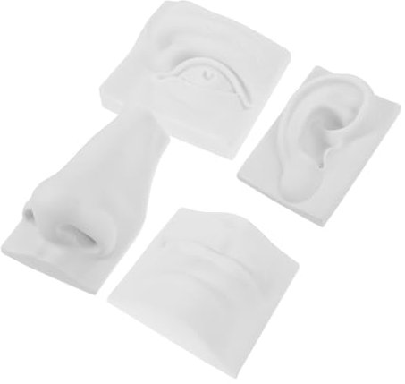 Homoyoyo Modelli Scultura in Schizzi Scultura Caratteristiche Facciali Ausilio Didattico Stampo Schizzo per Creazione Caratteristiche Facciali
