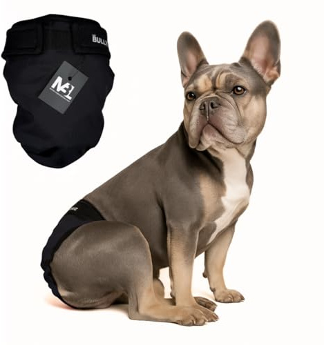 MyBullyLove löparbyxor för fransk bulldog – återanvändbar hundblöja utan spöhål, handgjorda och steglöst justerbara (standard (42–47 cm höftomkrets), All Black)