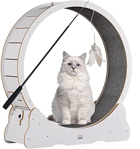 Löpband för katter, Kattfitness Viktminskningsleksak(White,M)