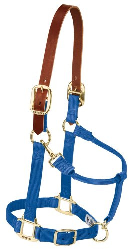 Weaver Leather Sicherheits-Halfter für Pferde aus Nylon, verstellbar, durchschnittliche Größe, Blau