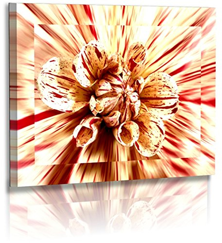 Premium - Poster - Fotos - Naturbilder - Blumenfotos - Blume - Dahlien - Abstrakte Bilder - Posterdruck (100 cm x 75 cm)